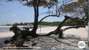Paisagem – Pousada Chalés do Atlântico Algodoal Pa