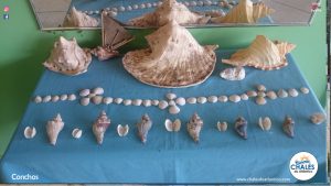 Pousada Chalés do Atlântico Algodoal Pa