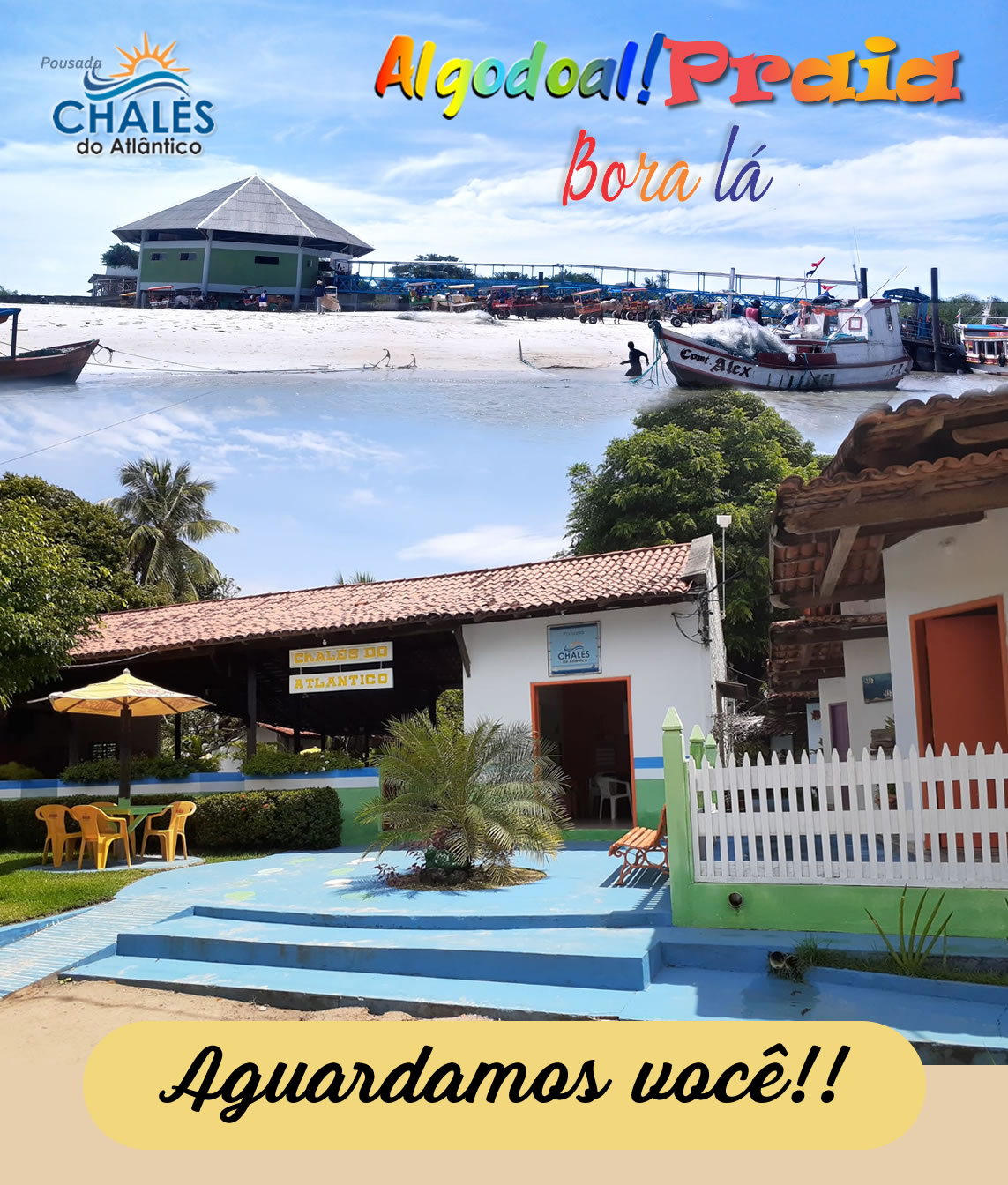 Aguardamos por vocÊ visitante !!!

#castanhal #castanhalpa @prefeituracapanema #capanema #saodomingosdocapim #belem #algodoal #marapanim #maruda #magalhaesbaratapa #fortalezinha #curuçápa